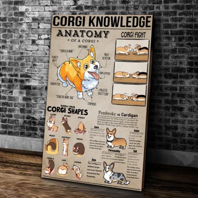 Corgi Knowledge Canvas