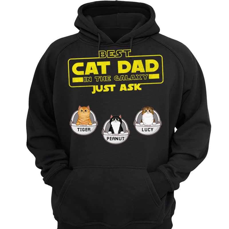 Best Dog Cat Dad In The Galaxy Personalized Hoodie Sweatshirt
