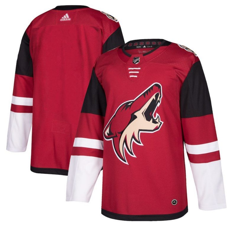 Men Arizona Coyotes Black Alternate Blank Jersey