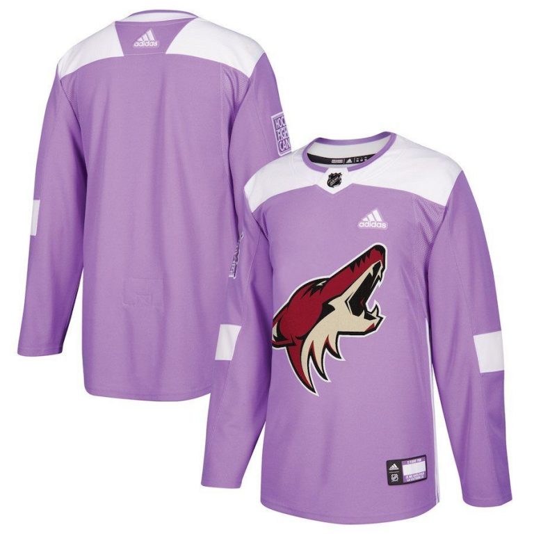 Men Arizona Coyotes Purple 2018 Hockey Fights Cancer Blank Practice Jersey