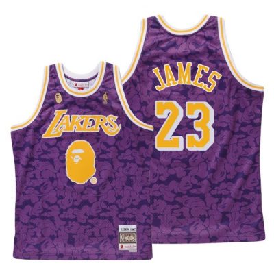 Men Lebron James Los Angeles Lakers Bape X Mitchell #23 Purple Classic Jersey