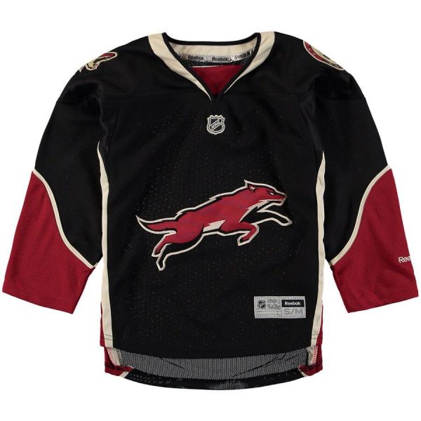 Youth Arizona Coyotes Black Premier Blank Jersey