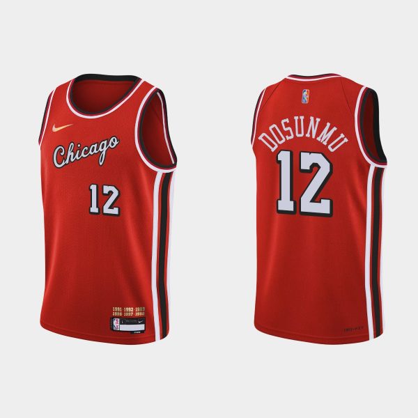 Chicago Bulls 75th Anniversary #12 Ayo Dosunmu Red City Jersey