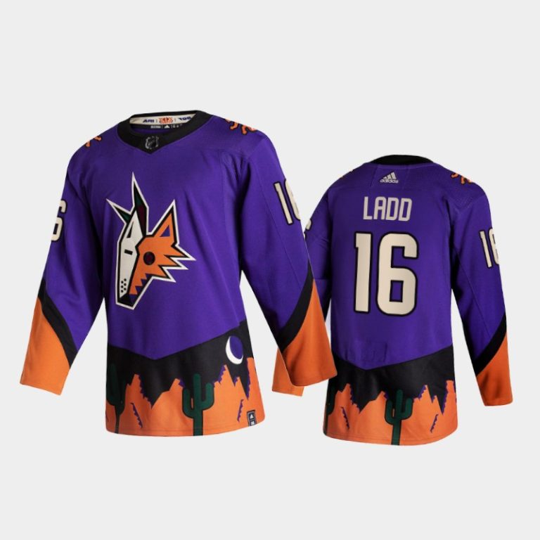 Men Arizona Coyotes #16 Andrew Ladd 2021 Reverse Retro Purple Special Edition Jersey