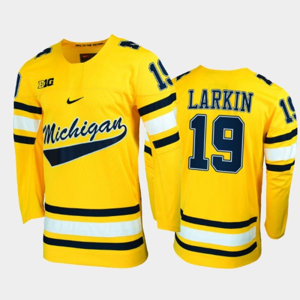 Men Michigan Wolverines Dylan Larkin #19 College Hockey Maize Alumni Jersey
