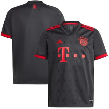 Bayern Munich Youth 2022-23 Third Replica Jersey - Charcoal