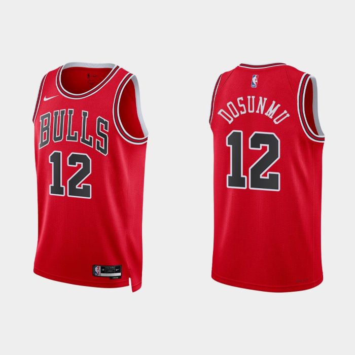 Chicago Bulls #12 Ayo Dosunmu 2022-23 Icon Edition Red Jersey