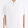 Men's Plus Size Classic Fit Solid Color Polo